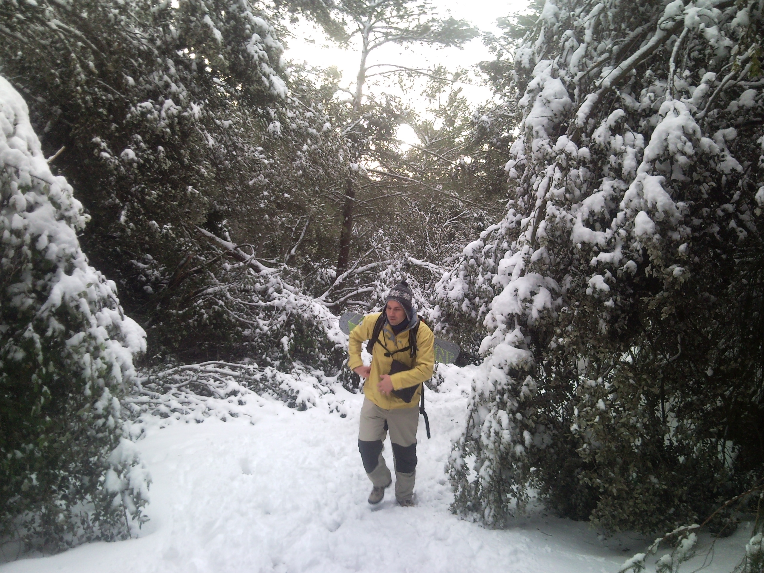 Nieve_SS1D_Sevensummitsonedream